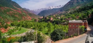Majestic Valley of Ourika in Morocco