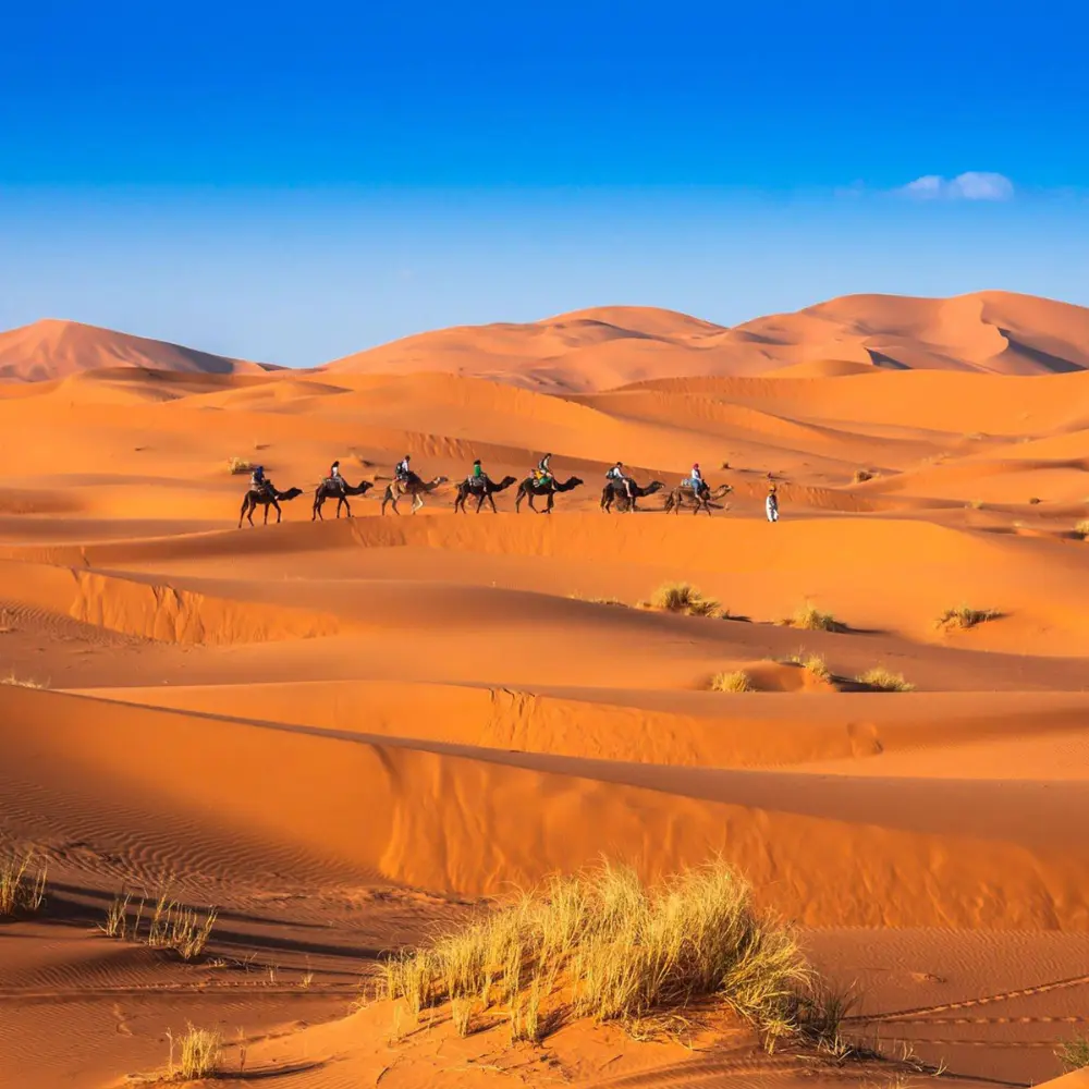 2-Day Private Tour: Marrakech to Erg Lihoudi Desert via M'hamid